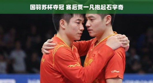 国羽闪耀苏杯赛场，贾一凡抱起石宇奇，荣耀时刻的温暖拥抱