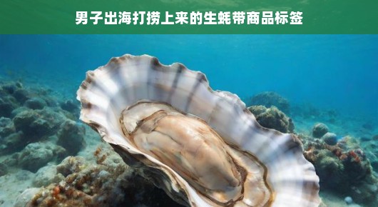男子出海打捞，意外发现生蚝带商品标签—海洋深处的神秘发现与商业智慧交融
