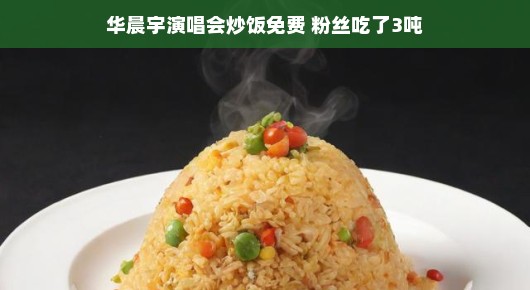 华晨宇演唱会炒饭风暴,免费美食盛宴,粉丝共享美食盛宴三吨炒饭!