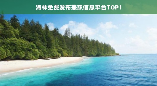 海林免费兼职信息平台TOP，轻松找到心仪工作