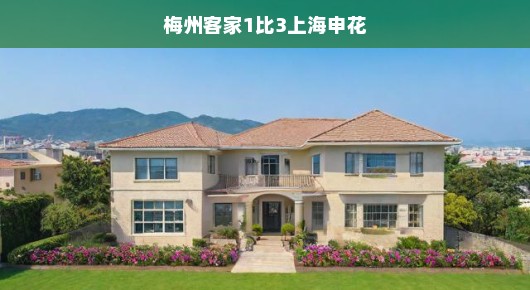 梅州客家遭遇上海申花，一场足球的较量