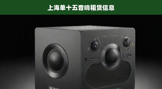 上海单十五音响租赁领域的佼佼者—您值得信赖的专业之选