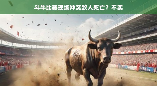 轻松视角看斗牛比赛，冲突并非必然导致悲剧
斗牛比赛现场—冲突并非必然引发致命事件