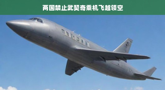 轻松看两国禁止武契奇飞越领空
武契奇飞越风波，两国领空的禁令背后