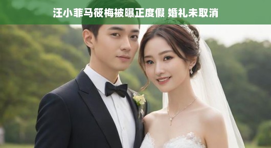 汪小菲马筱梅度假传闻揭秘,婚礼计划并未取消