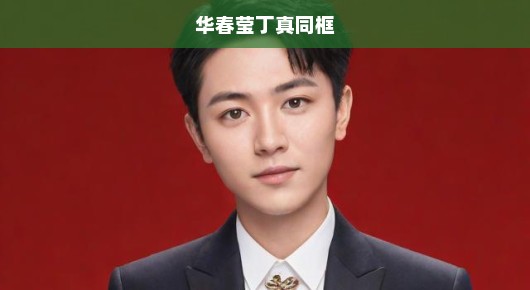 华春莹与丁真,同框下的交流与碰撞