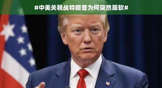 中美关税战背后的故事,特朗普为何突然服软?