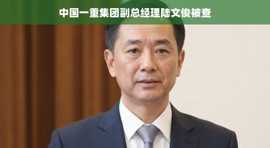 重磅!中国一重集团陆文俊副总遭遇风波,真相揭晓,拭目以待!