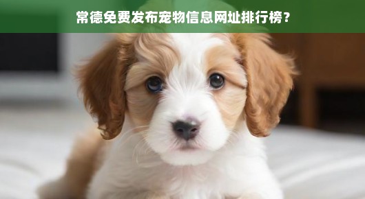 常德免费发布宠物信息网址排行榜