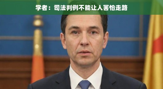 学者谈司法判例，无需让人畏惧前行