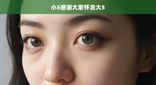 怀念与感谢交织，小S眼中的大S风采