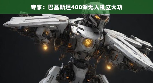 专家热议，巴基斯坦无人机大军崛起，数量达400架，应用前景无限广阔，潜力惊人！