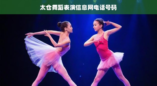 太仓舞蹈表演信息网—您身边的舞蹈艺术宝库