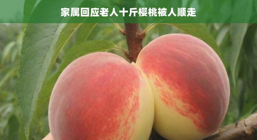 樱桃背后的温情故事，老人家的小小失窃，家庭和谐之旅温暖人心。