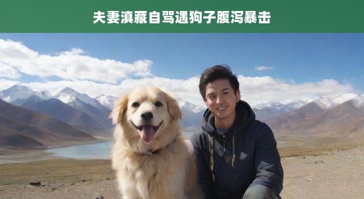 滇藏自驾途中狗狗肠胃出问题，夫妻机智应对，旅途小插曲也能变奏曲。