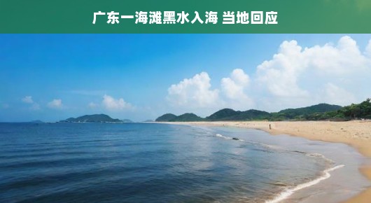 广东一海滩出现黑水入海现象，当地迅速回应