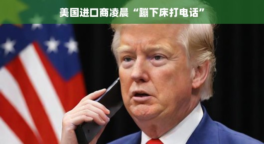 美国进口商的蹦下床打电话时刻