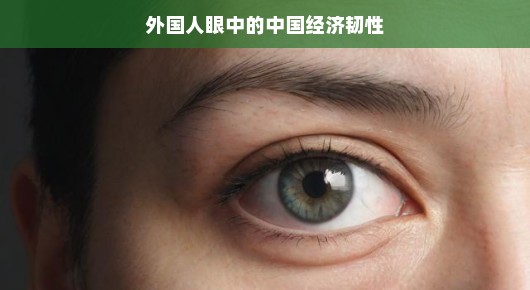 外国人眼中的中国经济韧性，稳健前行，潜力无限