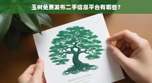 玉树免费发布二手信息平台的那些事儿