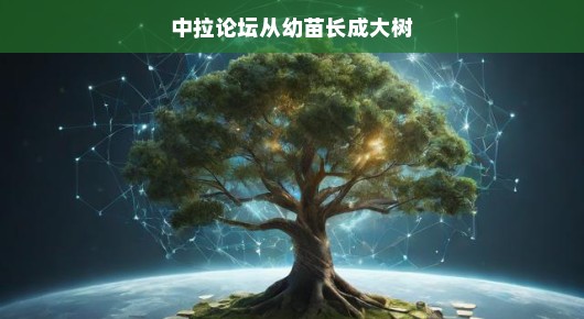 中拉论坛，从幼苗长成大树的成长之路