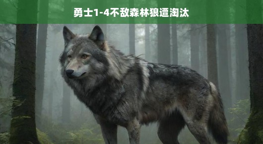 勇士季后赛征途止步，遭遇森林狼淘汰，遗憾告别舞台。