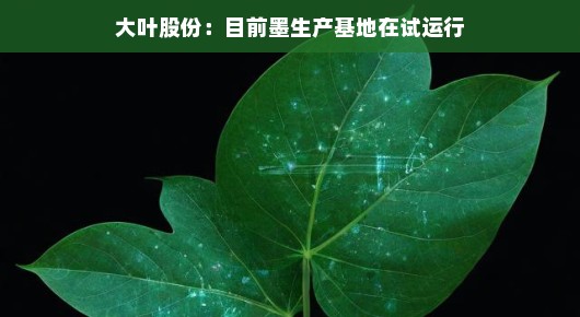 大叶股份，墨生产基地试运行进展顺利，期待未来大放异彩