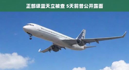 蓝天立被查背后,正部级官员的日常与幕后故事揭秘,关注细节背后的真相。