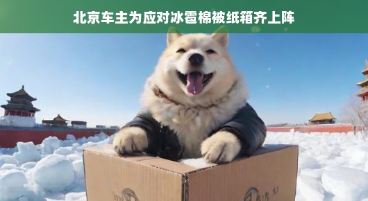 北京车主应对冰雹出奇招!棉被纸箱护车,创意笑翻众人!