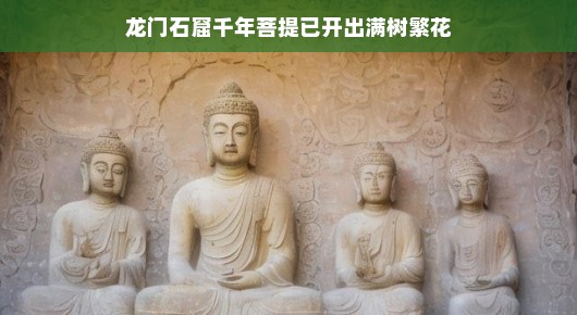 龙门石窟千年菩提繁花盛开记