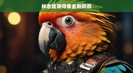 林志炫的金刚鹦鹉时尚潮流
