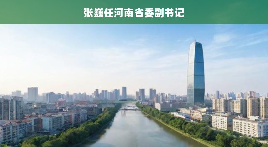 张巍履新河南省委副书记，中原大地期待新篇章