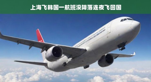 上海飞往韩国航班的小插曲，旅客们轻松度过，平安归航啦！