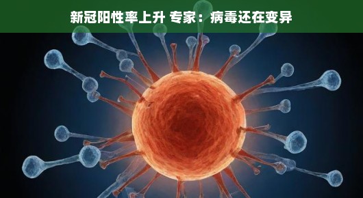 新冠阳性率上升背后的故事，专家揭示病毒仍在变异