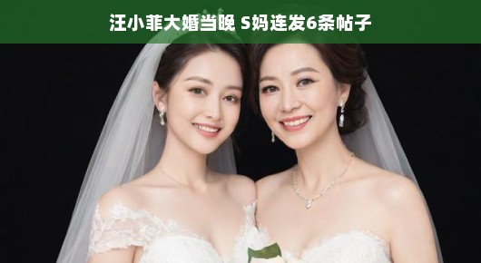 汪小菲婚礼之夜，S妈喜悦洋溢连发六条动态，祝福新人快乐无忧，氛围温馨愉悦！