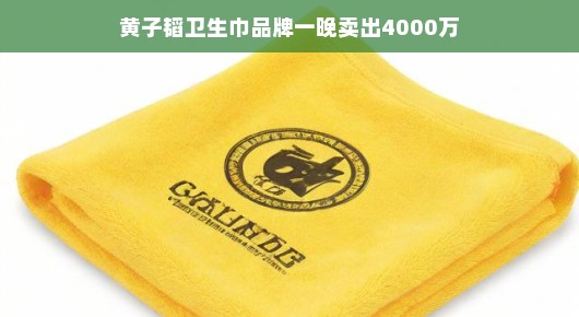 黄子�涛卫生巾品牌，一夜爆卖4000万的奇迹