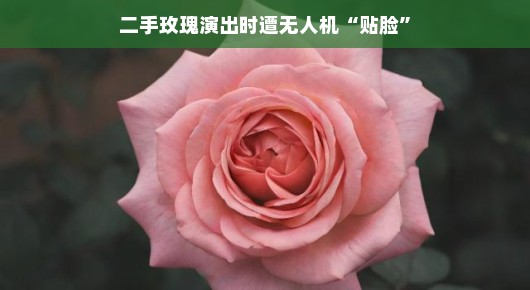 轻松气氛下的紧张瞬间，二手玫瑰演出遭遇无人机贴脸