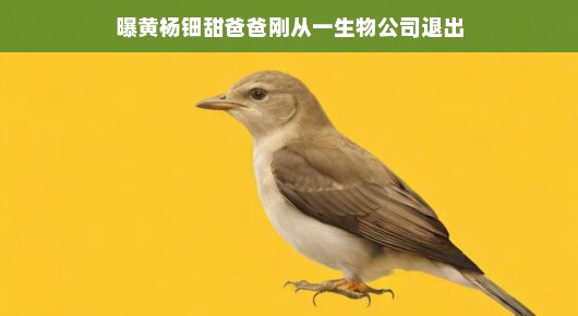 黄杨钿甜爸爸的生物公司创业路，退出舞台，仍是甜蜜回忆