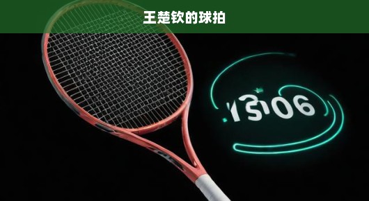王楚钦遭遇意外，球拍受损引发争议，裁判却称没问题