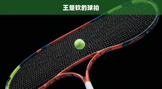 王楚钦横扫晋级16强，球拍风波后的强势回归