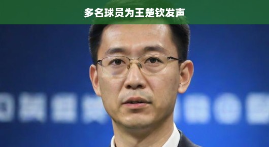 多名球员为王楚钦发声，一个值得关注的体育现象