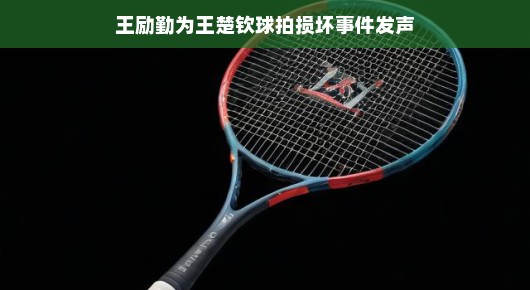 王励勤为王楚钦球拍损坏事件发声,运动精神与理解的呼唤