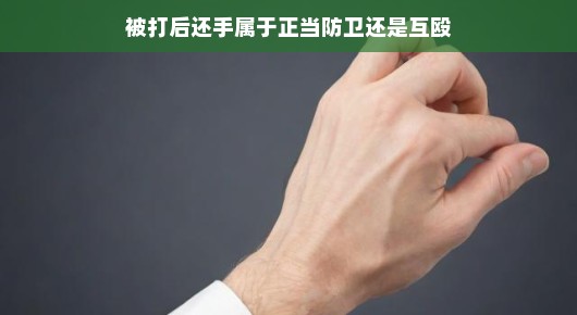 被打后还手,正当防卫还是互殴?解读冲突中的正当防卫与互殴界限