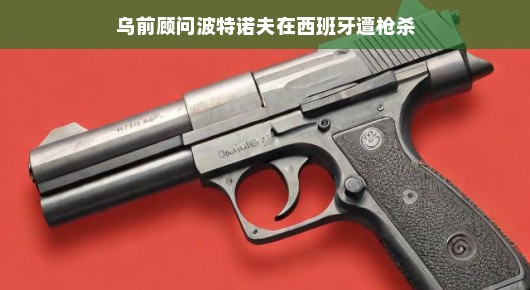 乌前顾问波特诺夫在西班牙遭遇枪击事件揭秘