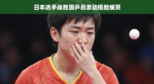 日本选手战胜国乒后激动捂脸痛哭，背后的故事值得一探