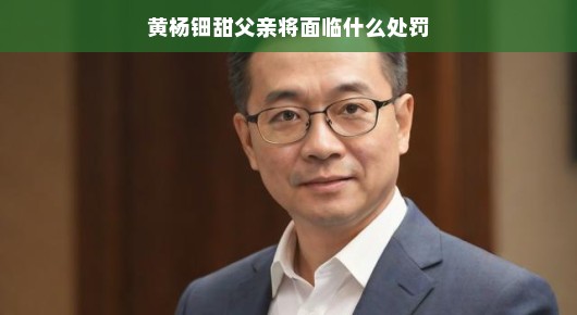 黄杨钿甜父亲将面临何种处罚，一个深入解读