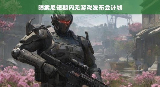 索尼游戏发布会计划曝光，短期内无安排，静待花开之时