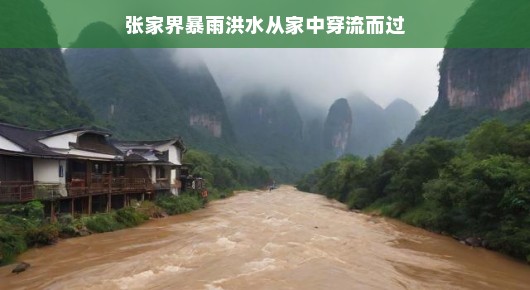 张家界暴雨洪水,家中的小河流淌记
暴雨来袭,张家界家中的小河汹涌而过