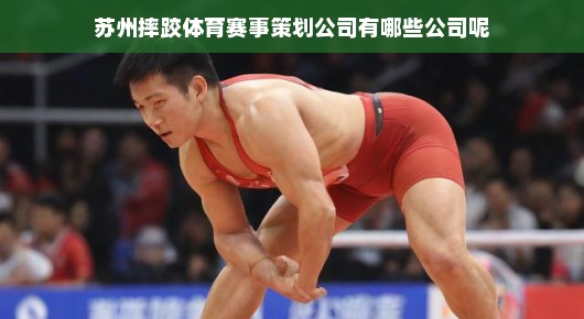 苏州摔跤体育赛事策划公司一览
