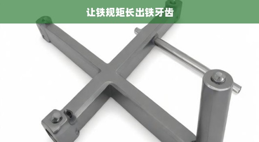 让铁规矩长出铁牙齿—构建强大的执行力和监督体系