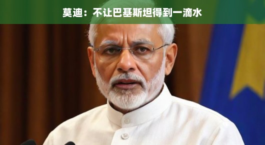 莫迪,滴水不漏的战略决策